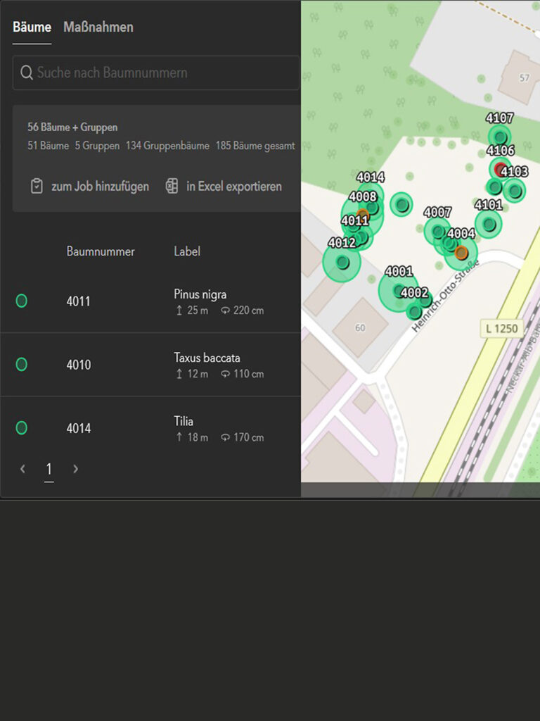 Faktor-Baum-HOS-Baumkataster