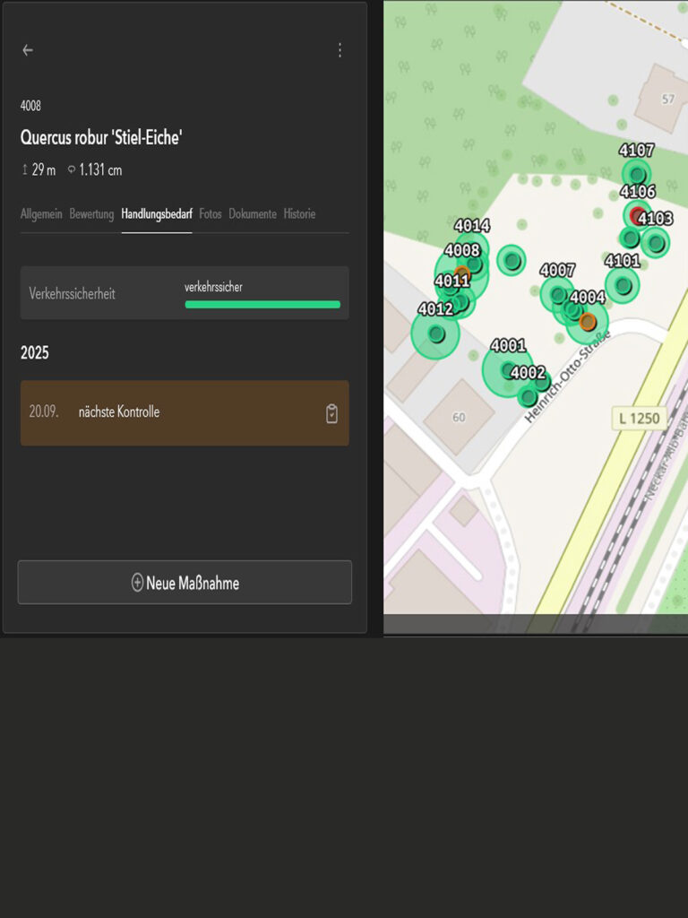 Faktor-Baum-HOS-Baumkontrolle