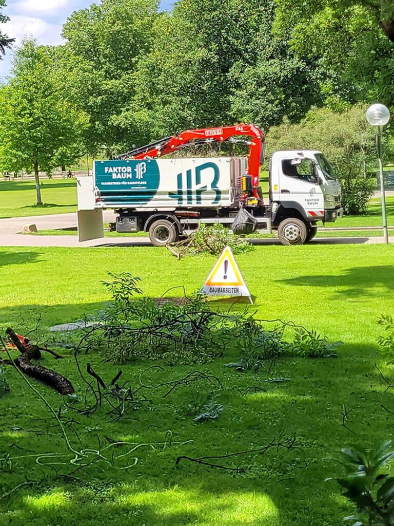 Faktor-Baum Fällungen Schlossgarten Stuttgart
